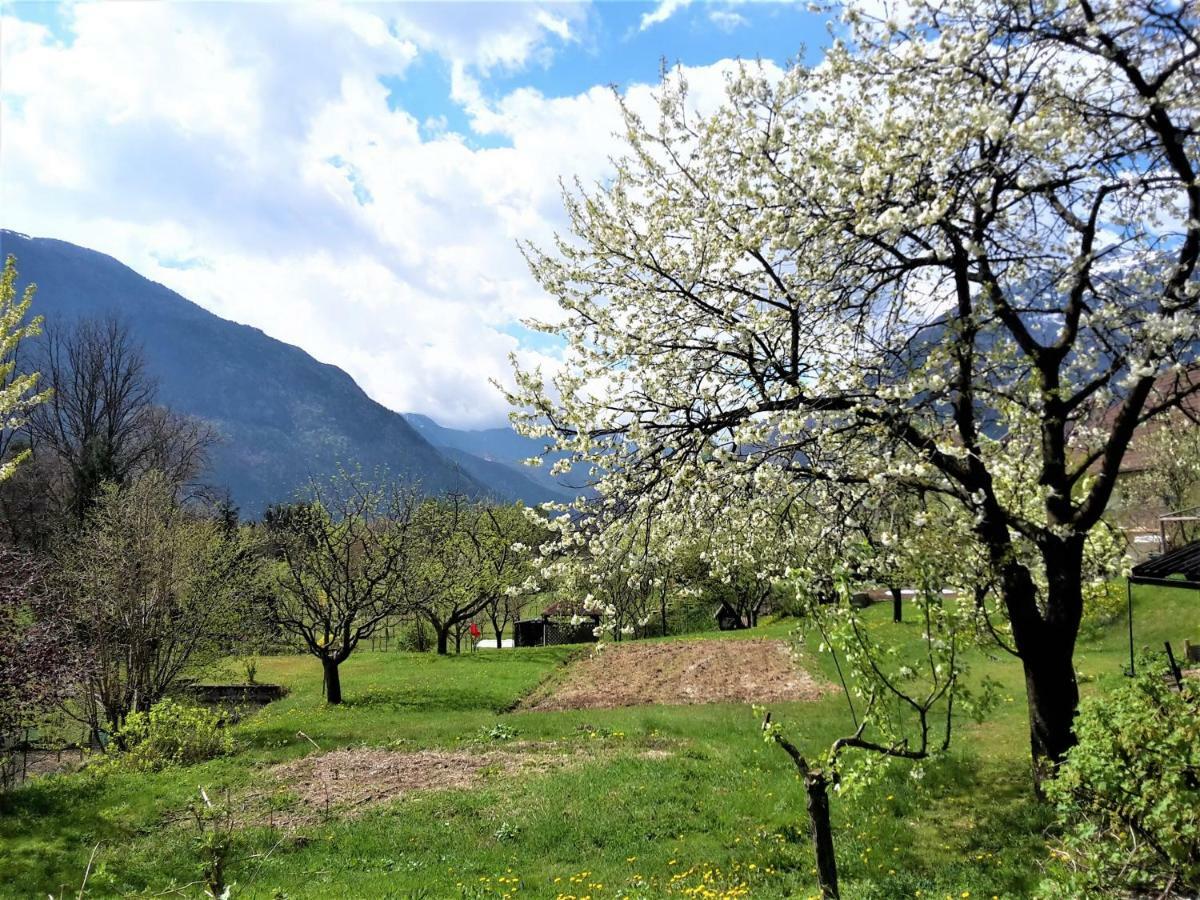 Bovec Holiday House Esterno foto